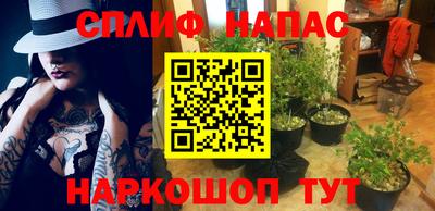 гидра Ангарск